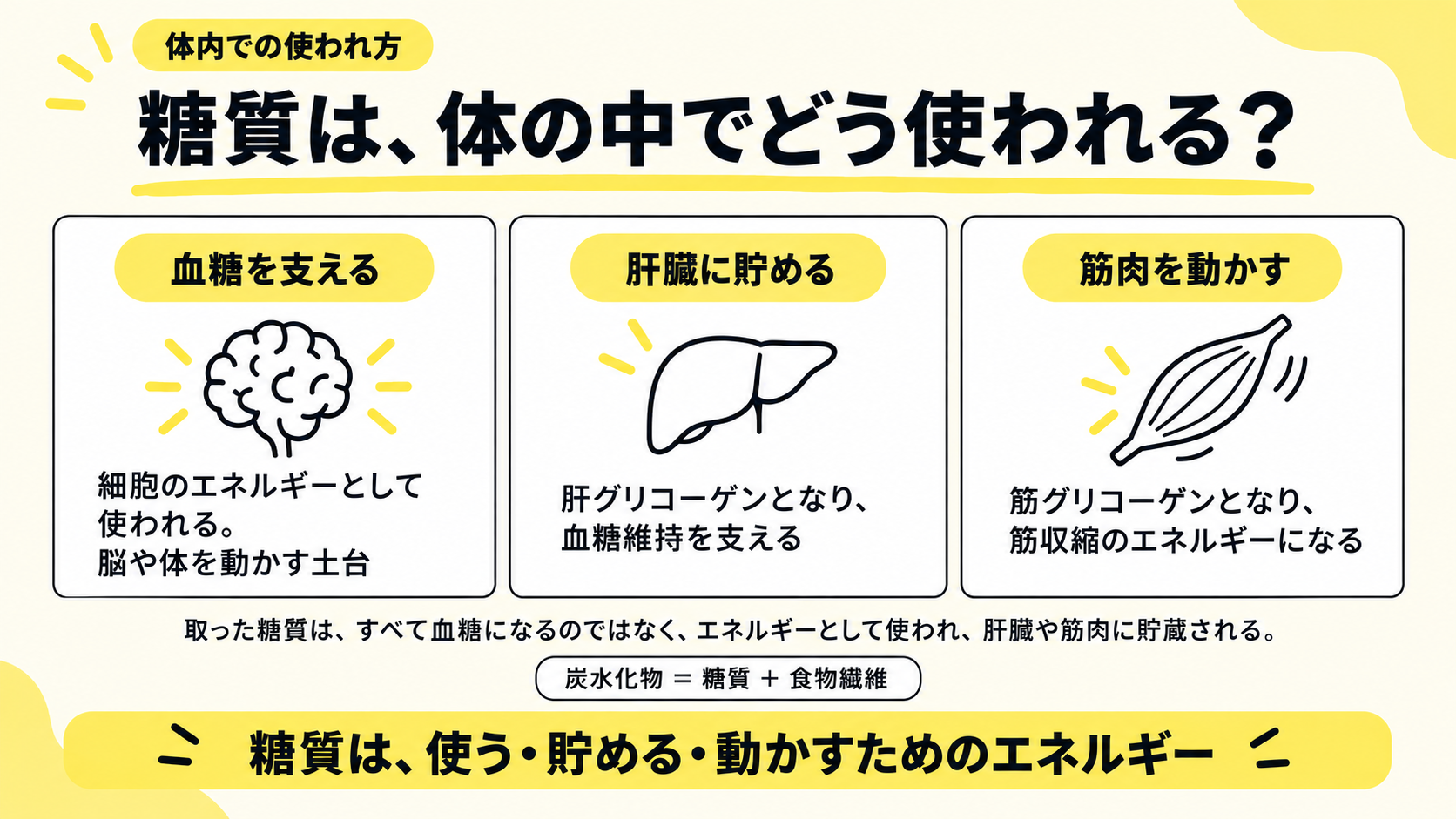 体内での使われ方